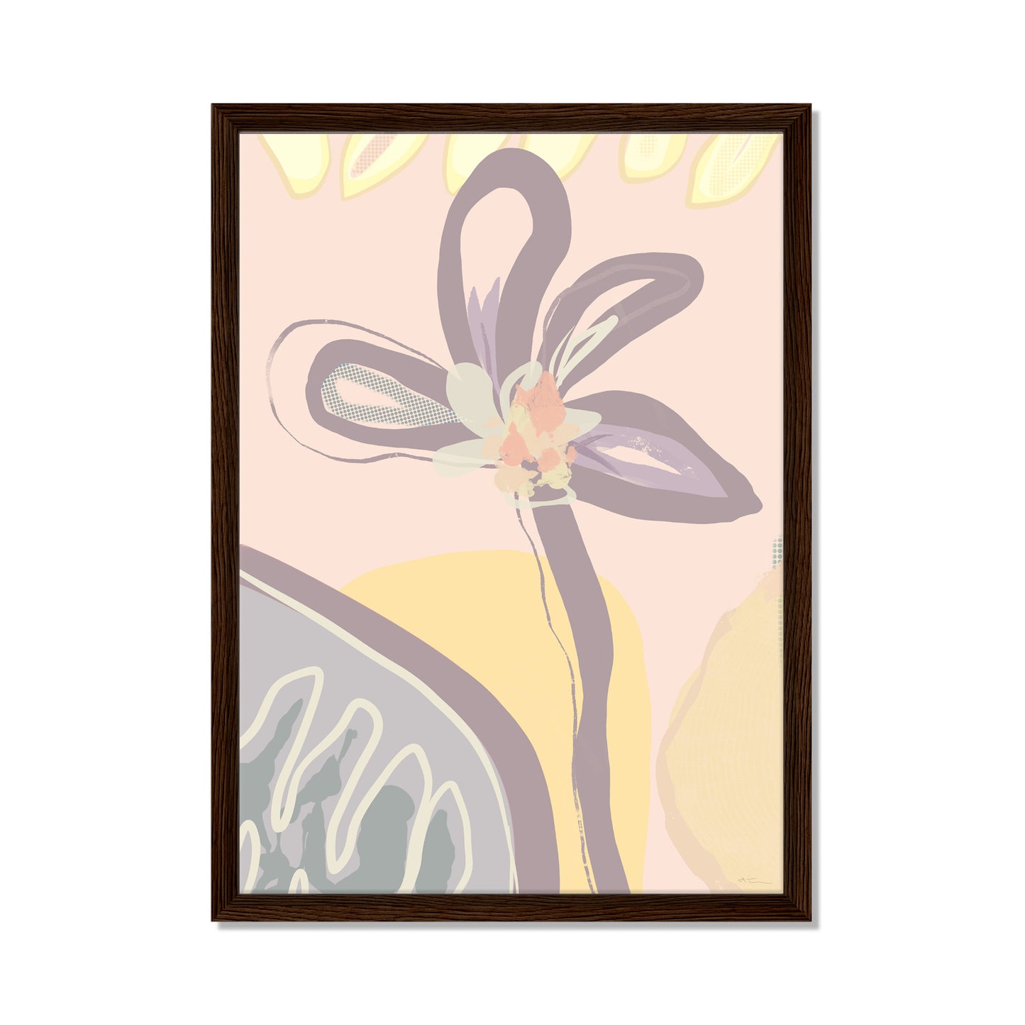 Roots no. 07